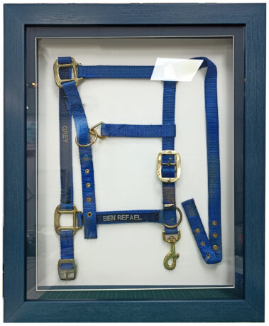 עבודות שלנו